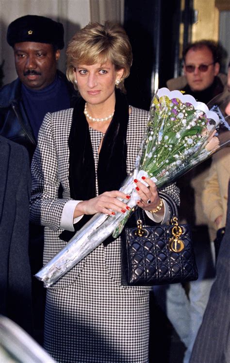 princess diana chouchou bag